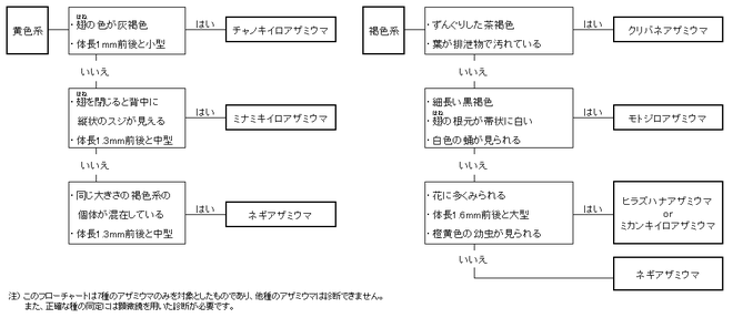 フローチャート