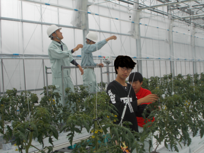 写真2