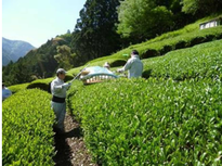 4月画像