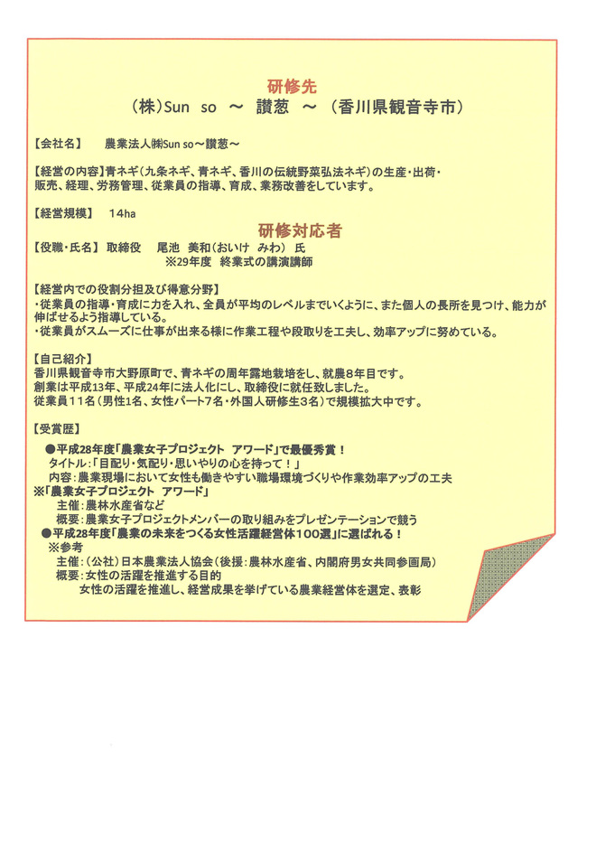 チラシ裏