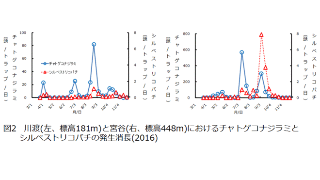 発生消長