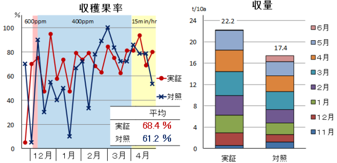 収穫