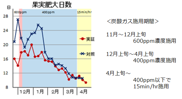 果実肥大