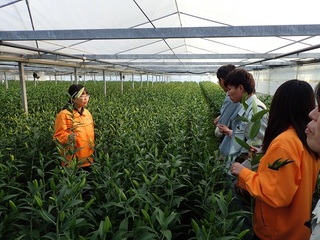 生産者1ほ場