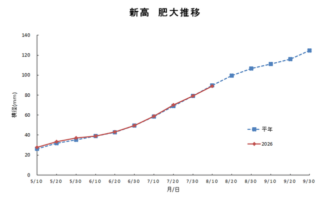 新高肥大