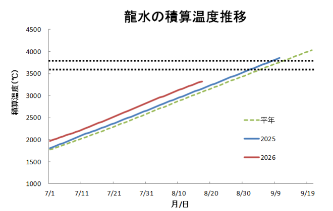 積算温度（龍水）