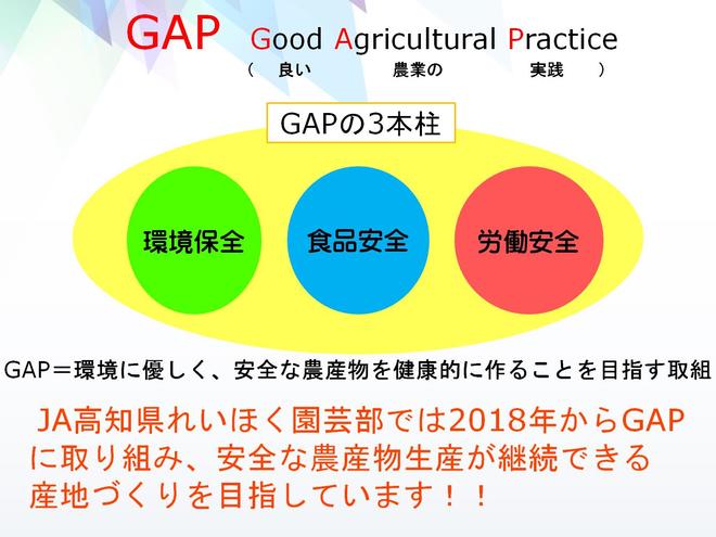 GAP TV取材用資料.jpg