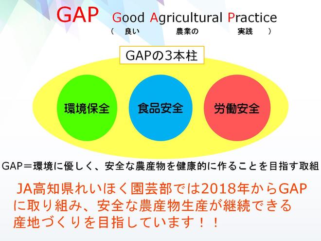 GAP 資料