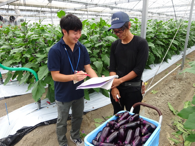 開花数が増えてますね！