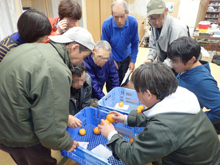 室戸市吉良川での目慣らし会の様子