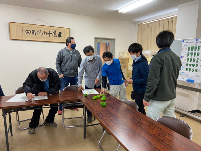 選別基準を確認する生産者