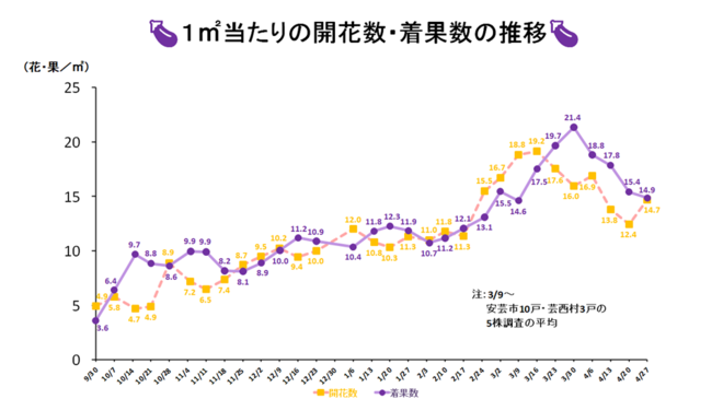 調査結果のグラフ