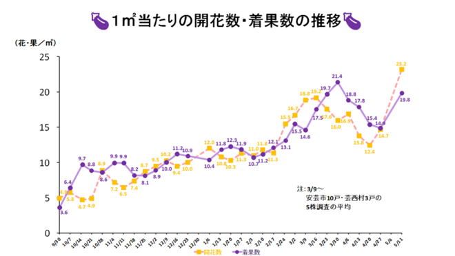 調査結果のグラフ