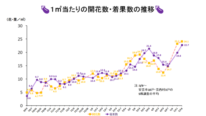 調査結果のグラフ