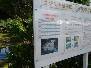 中の川の積算雨量表