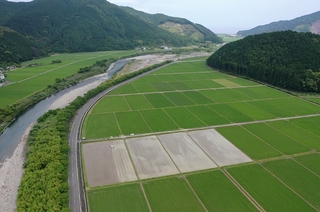 野根川流域名留川地区（右奥：河口）