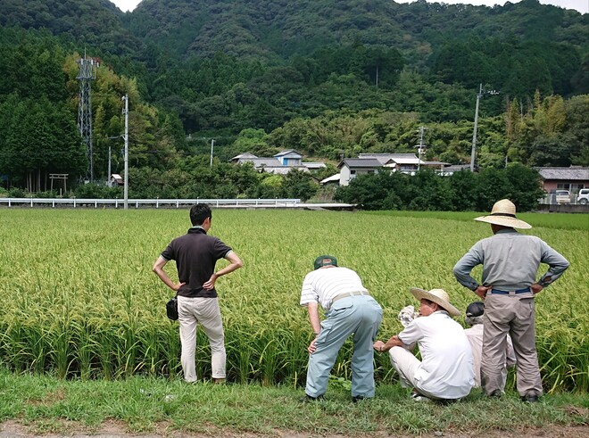 生産者に指導する普及指導員