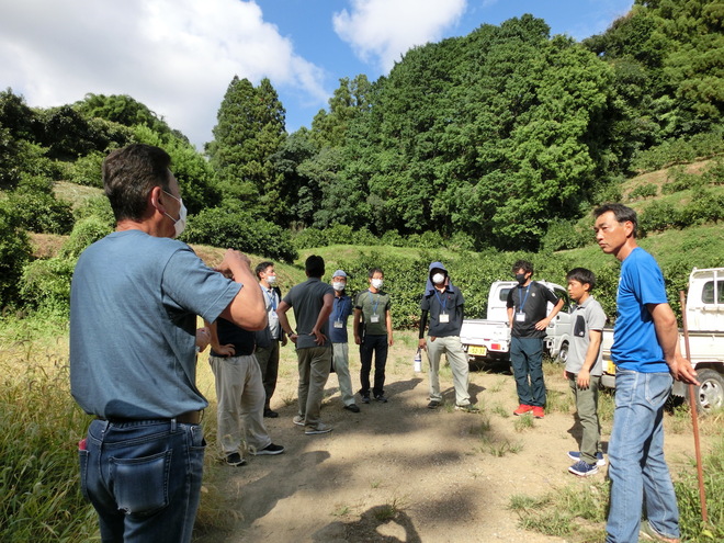 来年5月に地域おこし協力隊員が就農するミカン園