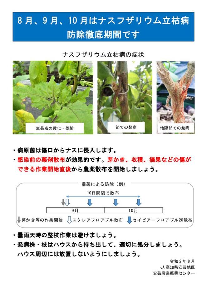 ナスフザリウム立枯病対策について