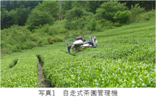 写真１自走式茶園管理機