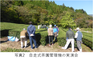 写真2自走式茶園管理機の実演会