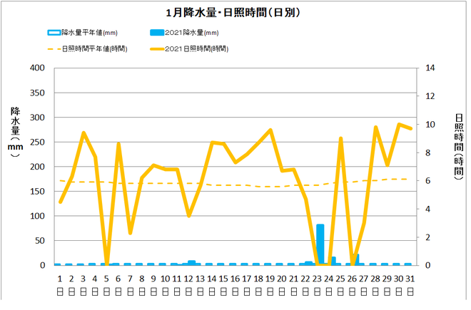 土佐清水市１月の降水量・日照量