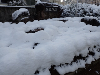 すべては雪の下（正門前）