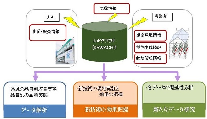 概略図