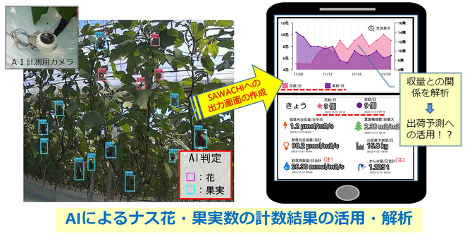 AIによるナスの花数・実数の計測