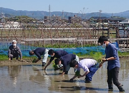 水稲奨励品種決定試験（甲斐）.jpg