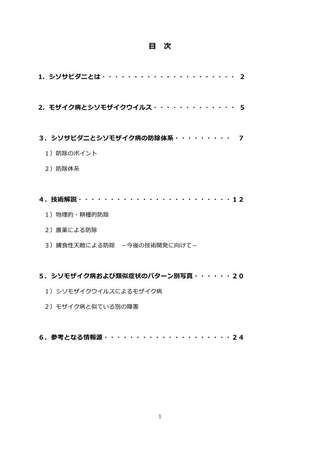 マニュアルP2