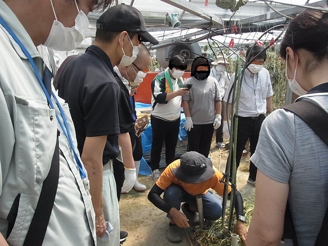 農福連携見学･体験会.jpg