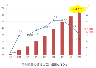 収量データ