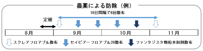 フザリウム図