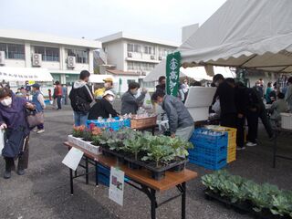 高知農業高校