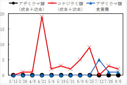 図１.gif