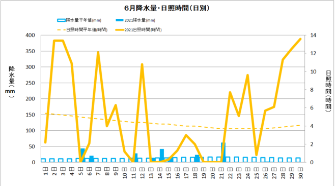 6月中村　降水量・日射量