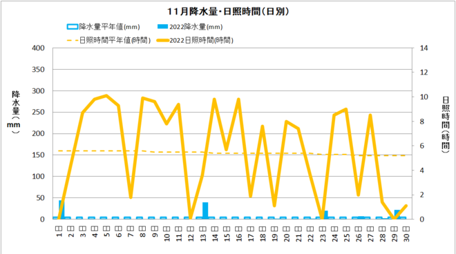 11月中村降水量・日射量