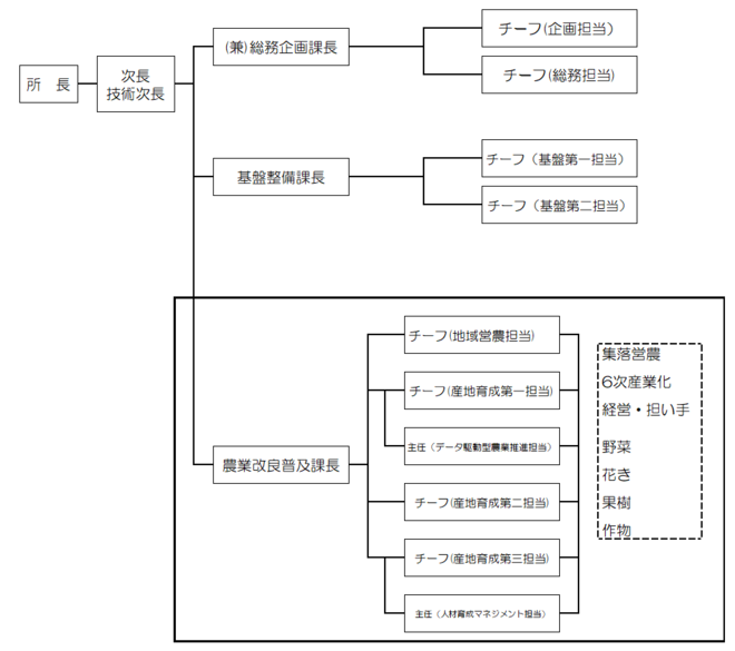 体制表