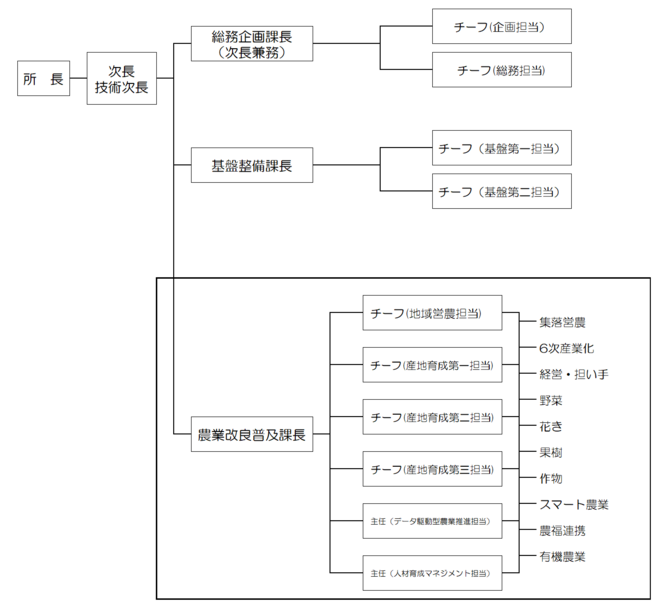 体制表.png