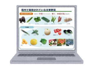 高知県農業の特徴と野菜栽培の強み