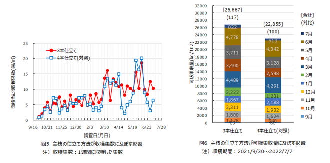 図５．６