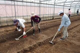 土寄せ実習