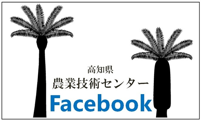 高知県農業技術センターFacebook