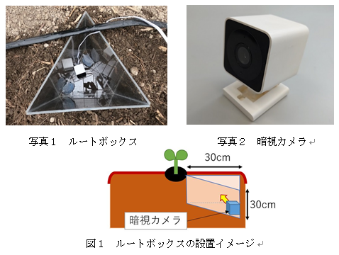 キャプチャ1.PNG