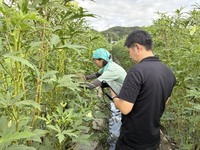 情勢報告9月