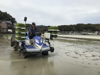 2019年4月