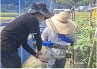 情勢報告８月