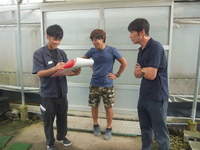 情勢報告10月