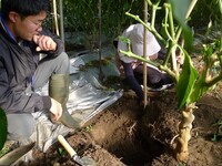 情勢報告12月